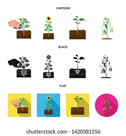 Isolated object of plant and bean symbol. Set of plant and process vector icon for stock.