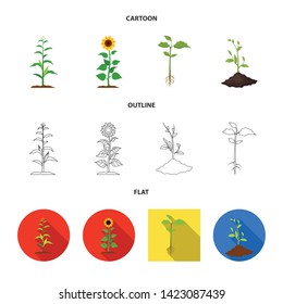 Isolated object of plant and bean symbol. Set of plant and process stock symbol for web.