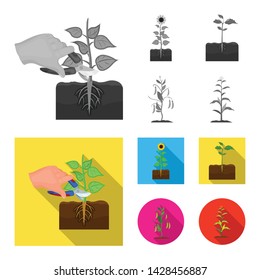 Isolated object of plant and bean symbol. Collection of plant and process vector icon for stock.