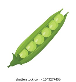 Isolated object of pod and peas icon. Web element of pod and legume stock vector illustration.