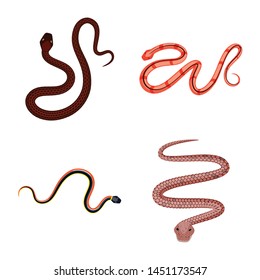 Isolated object of poison and evil logo. Collection of poison and bite stock vector illustration.