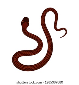 Isolated object of poison and evil sign. Collection of poison and bite stock symbol for web.