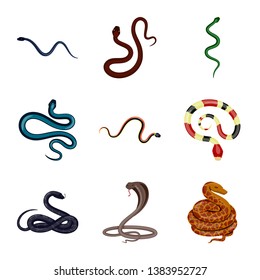 Isolated object of poison and evil sign. Collection of poison and bite stock symbol for web.
