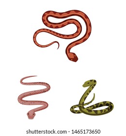 Isolated object of poison and evil sign. Set of poison and bite stock vector illustration.
