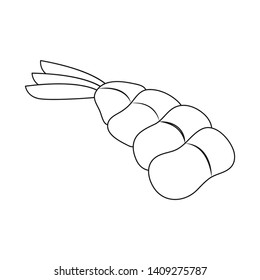 Isolated object of prawn  and creature  symbol. Collection of prawn  and fresh  vector icon for stock.