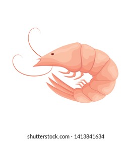 Isolated object of prawn and raw  icon. Set of prawn and cooked stock vector illustration.