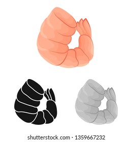 Isolated object of prawn and raw  sign. Collection of prawn and luxury stock symbol for web.