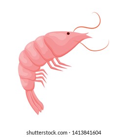 Isolated object of prawn and raw  sign. Set of prawn and luxury  stock symbol for web.