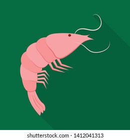 Isolated object of prawn and raw  symbol. Set of prawn and luxury  vector icon for stock.
