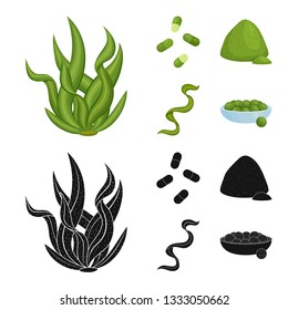 Isolated object of protein and sea icon. Set of protein and natural vector icon for stock.