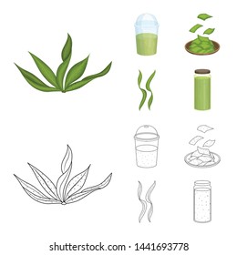 Isolated object of protein and sea icon. Collection of protein and natural vector icon for stock.