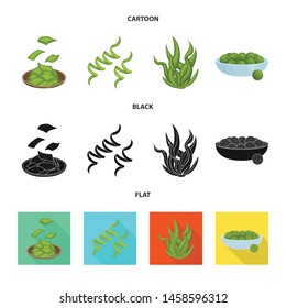 Isolated object of protein and sea sign. Collection of protein and natural vector icon for stock.