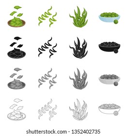 Isolated object of protein and sea symbol. Set of protein and natural stock symbol for web.