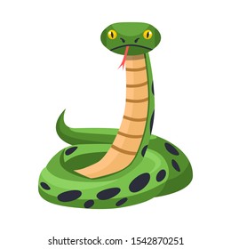 Isolated object of python and serpent symbol. Graphic of python and snake stock symbol for web.