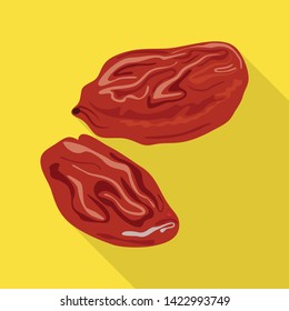 Isolated object of raisin and dry  icon. Collection of raisin and heap  stock vector illustration.