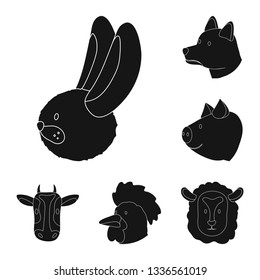 Isolated object of ranch  and organic  icon. Collection of ranch  and head vector icon for stock.