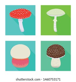 Isolated object of raw and summer symbol. Set of raw and ingredient stock symbol for web.