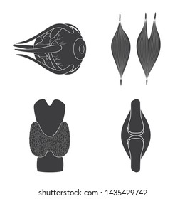 Isolated object of research and laboratory icon. Set of research and organ vector icon for stock.