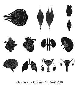 Isolated object of research and laboratory sign. Set of research and organ vector icon for stock.