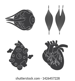 Isolated object of research and laboratory sign. Set of research and organ stock vector illustration.