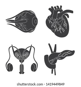Isolated object of research and laboratory symbol. Set of research and organ stock vector illustration.