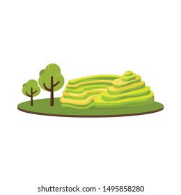 Isolated object of rice and field logo. Collection of rice and terrace stock symbol for web.