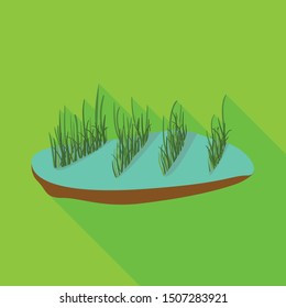 Isolated object of rice and field logo. Web element of rice and water stock symbol for web.