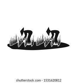 Isolated object of rice and field logo. Web element of rice and water stock symbol for web.