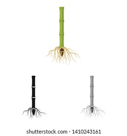 Isolated object of root and system symbol. Collection of root and sprout stock vector illustration.