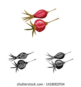 Isolated object of rose and dry logo. Collection of rose and botany  vector icon for stock.