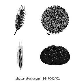 Isolated object of rye and plant icon. Collection of rye and corn stock symbol for web.