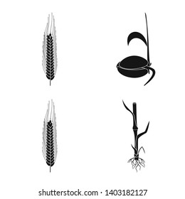 Isolated object of rye and plant  sign. Set of rye and corn stock vector illustration.