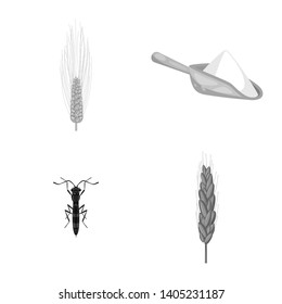 Isolated object of rye and plant  sign. Set of rye and corn vector icon for stock.