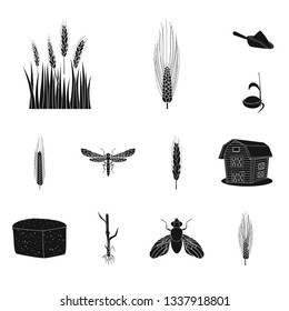 Isolated object of rye and plant  symbol. Collection of rye and corn stock vector illustration.