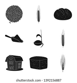 Isolated object of rye and plant  symbol. Collection of rye and corn stock vector illustration.