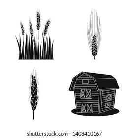 Isolated object of rye and plant  symbol. Collection of rye and corn vector icon for stock.