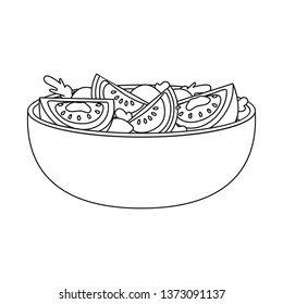 Isolated object of salad and tomato sign. Collection of salad and meal vector icon for stock.
