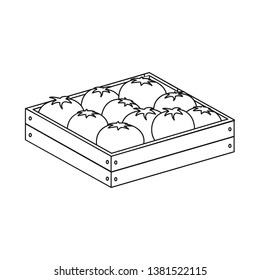 Isolated object of sandwich and tomato logo. Collection of sandwich and healthy stock symbol for web.