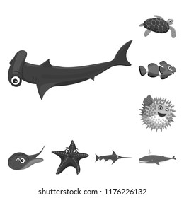 Isolated object of sea and animal icon. Collection of sea and marine stock vector illustration.