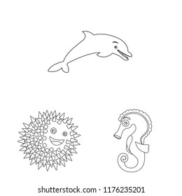 Isolated object of sea and animal icon. Set of sea and marine vector icon for stock.
