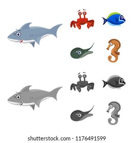 Isolated object of sea and animal icon. Set of sea and marine stock symbol for web.