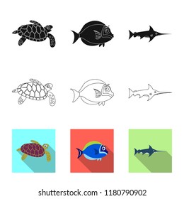 Isolated object of sea and animal icon. Collection of sea and marine stock symbol for web.