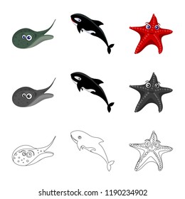 Isolated object of sea and animal icon. Collection of sea and marine stock symbol for web.
