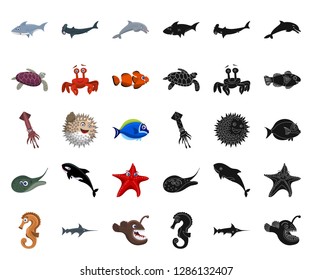 Isolated object of sea and animal icon. Collection of sea and marine stock vector illustration.