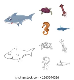 Isolated object of sea and animal icon. Set of sea and marine stock symbol for web.