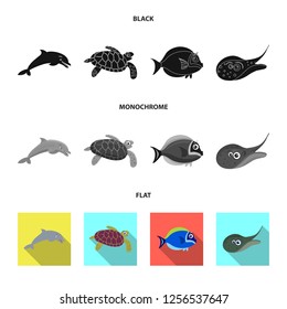Isolated object of sea and animal logo. Set of sea and marine stock symbol for web.