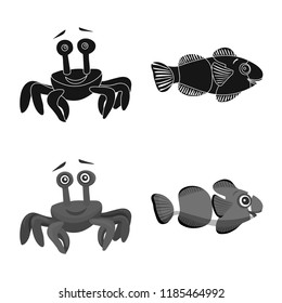 Isolated object of sea and animal sign. Set of sea and marine stock vector illustration.