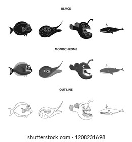 Isolated object of sea and animal sign. Collection of sea and marine stock vector illustration.