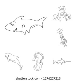 Isolated object of sea and animal symbol. Collection of sea and marine stock symbol for web.