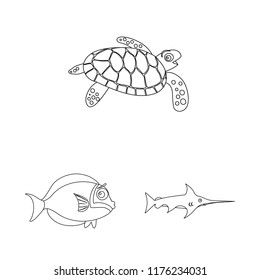 Isolated object of sea and animal symbol. Set of sea and marine stock symbol for web.